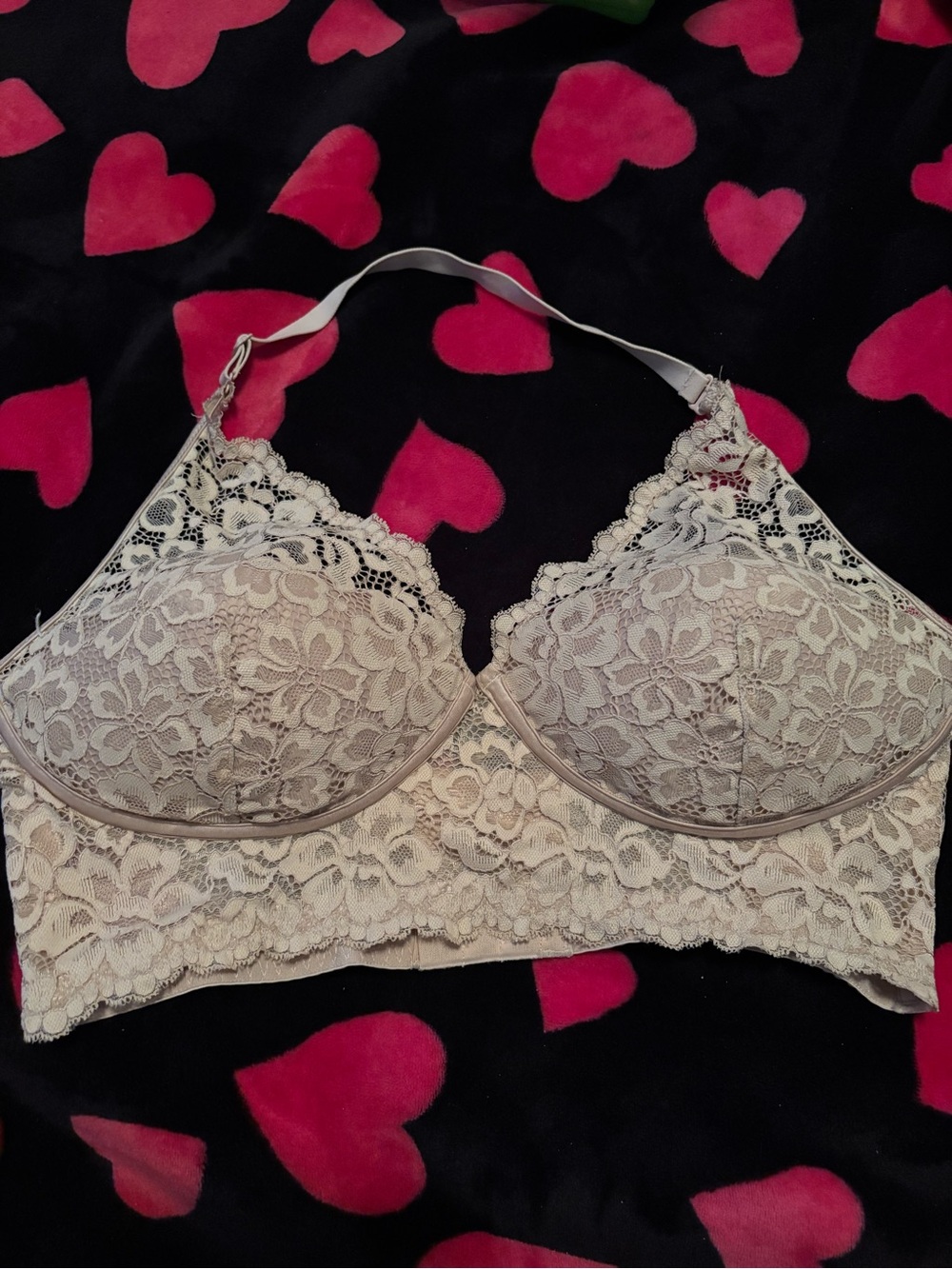 Maidenform Cream Lace‎ Longline Bra with Floral Overlay 36D A00392